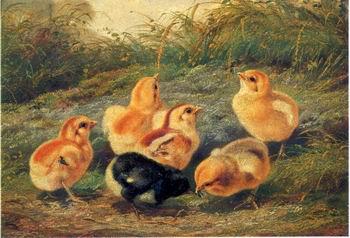 unknow artist chickens 196 China oil painting art